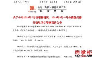 华润最新爆料,揭秘行业巨头背后的秘密与挑战”